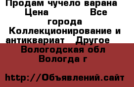 Продам чучело варана. › Цена ­ 15 000 - Все города Коллекционирование и антиквариат » Другое   . Вологодская обл.,Вологда г.